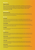 Flyer: Back