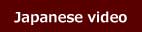 Icon: Nihongo JapaneseVideo