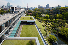 写真:屋上庭園