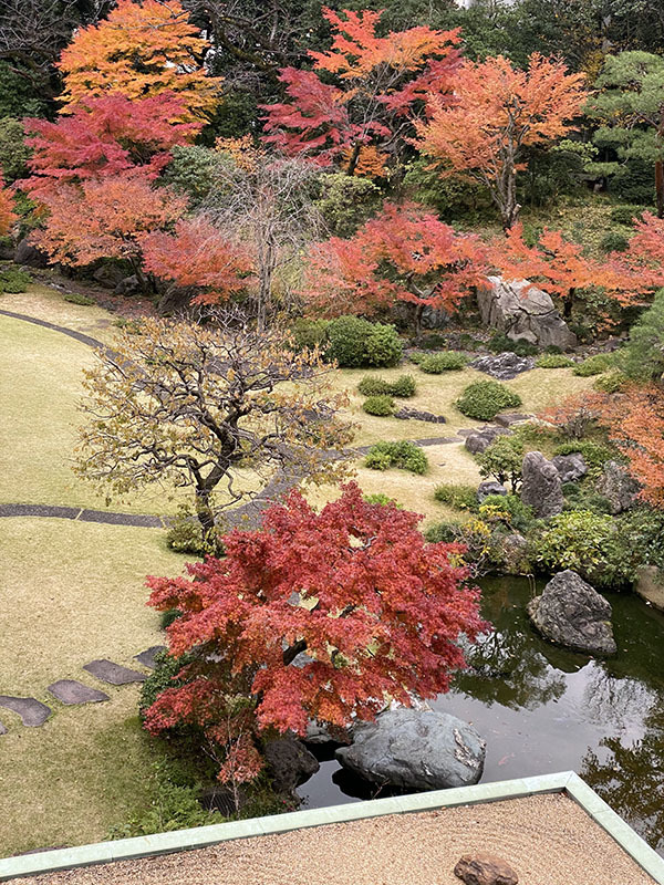 写真：秋の庭園