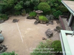 The drained pond　水が抜かれた池
